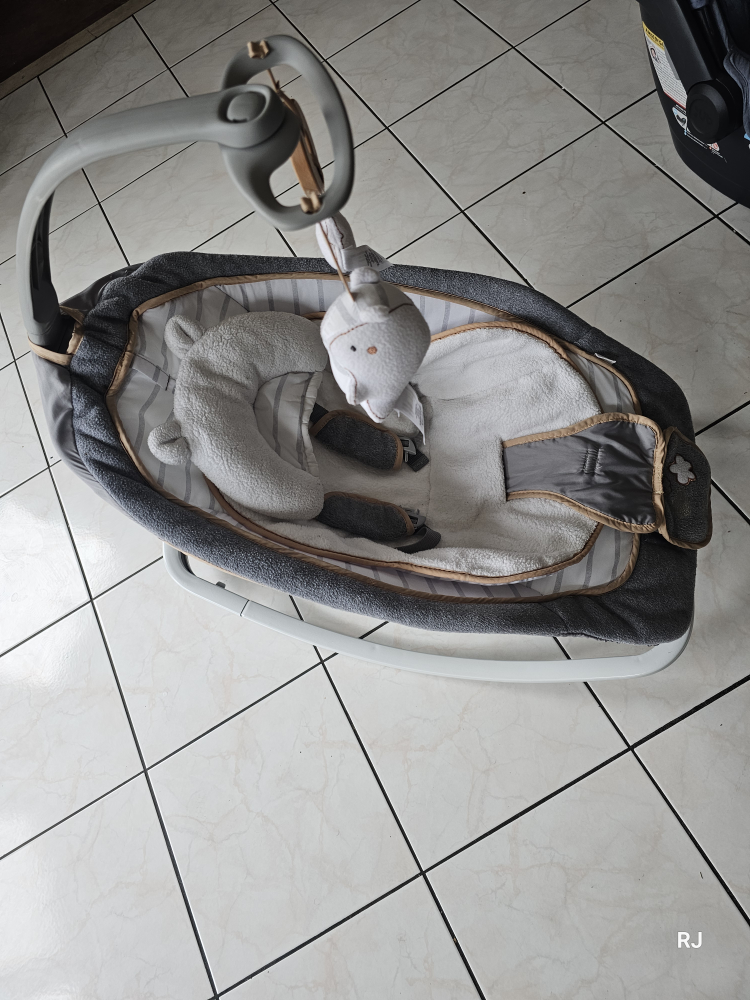 Ingenuity Baby Bouncer Seat