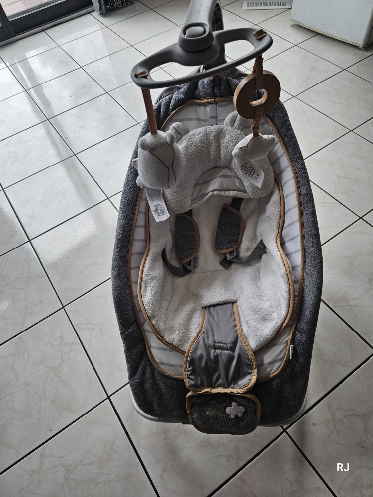 Ingenuity Baby Bouncer Seat - photo 2