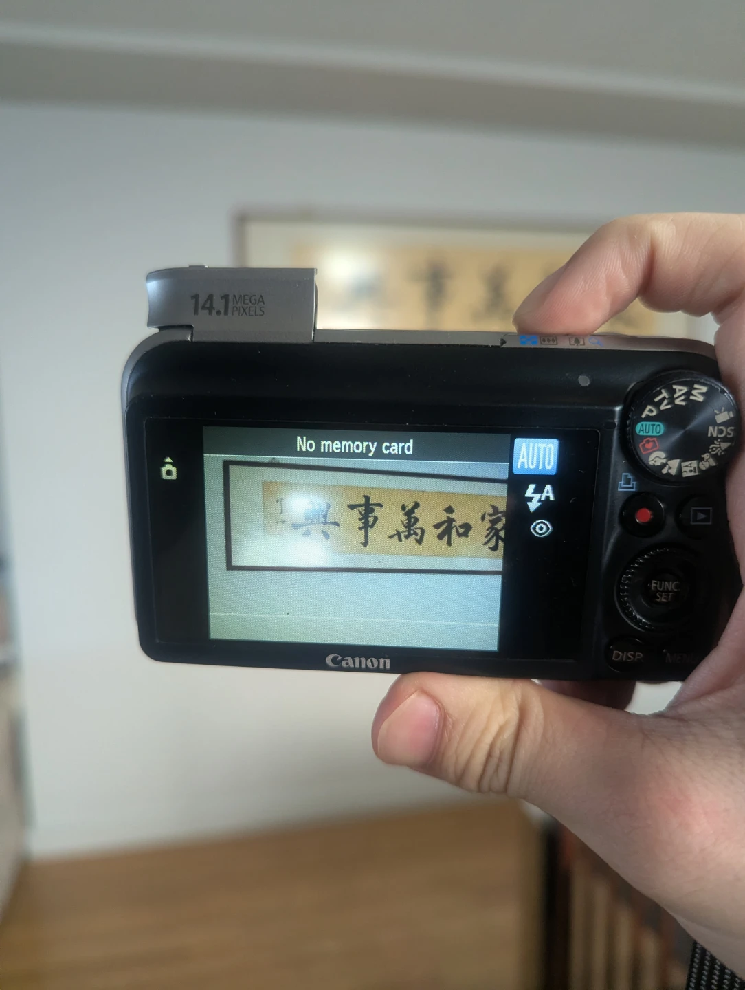 Canon PowerShot SX210 IS 14.1 MP Digital Camera - photo 5