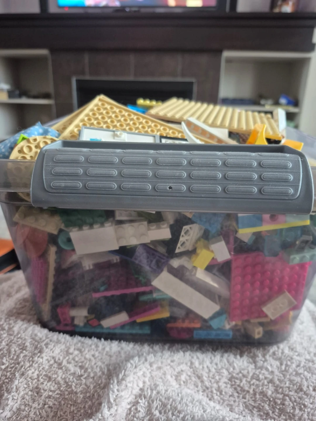 Bulk Lego Bin