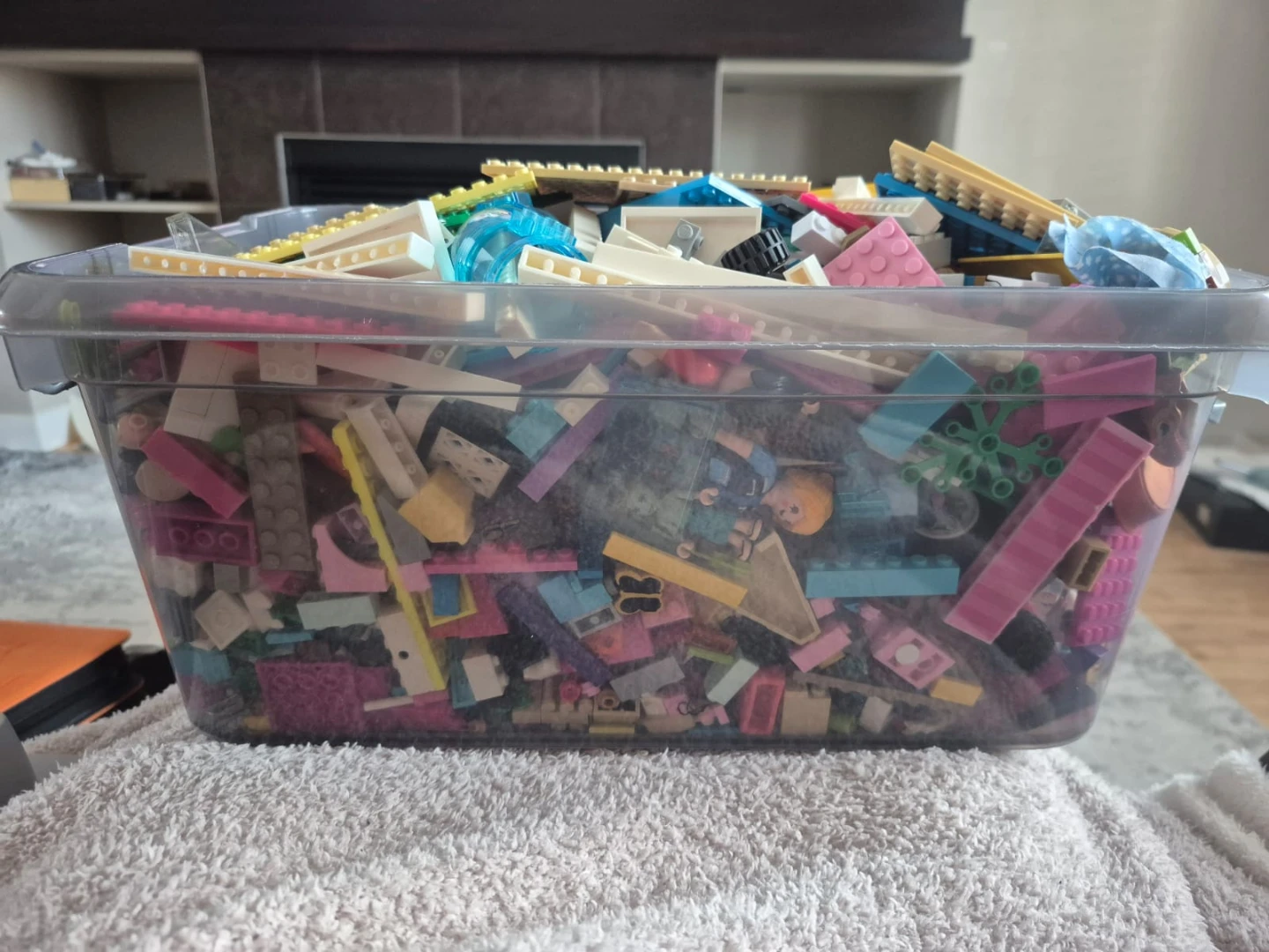 Bulk Lego Bin - photo 4