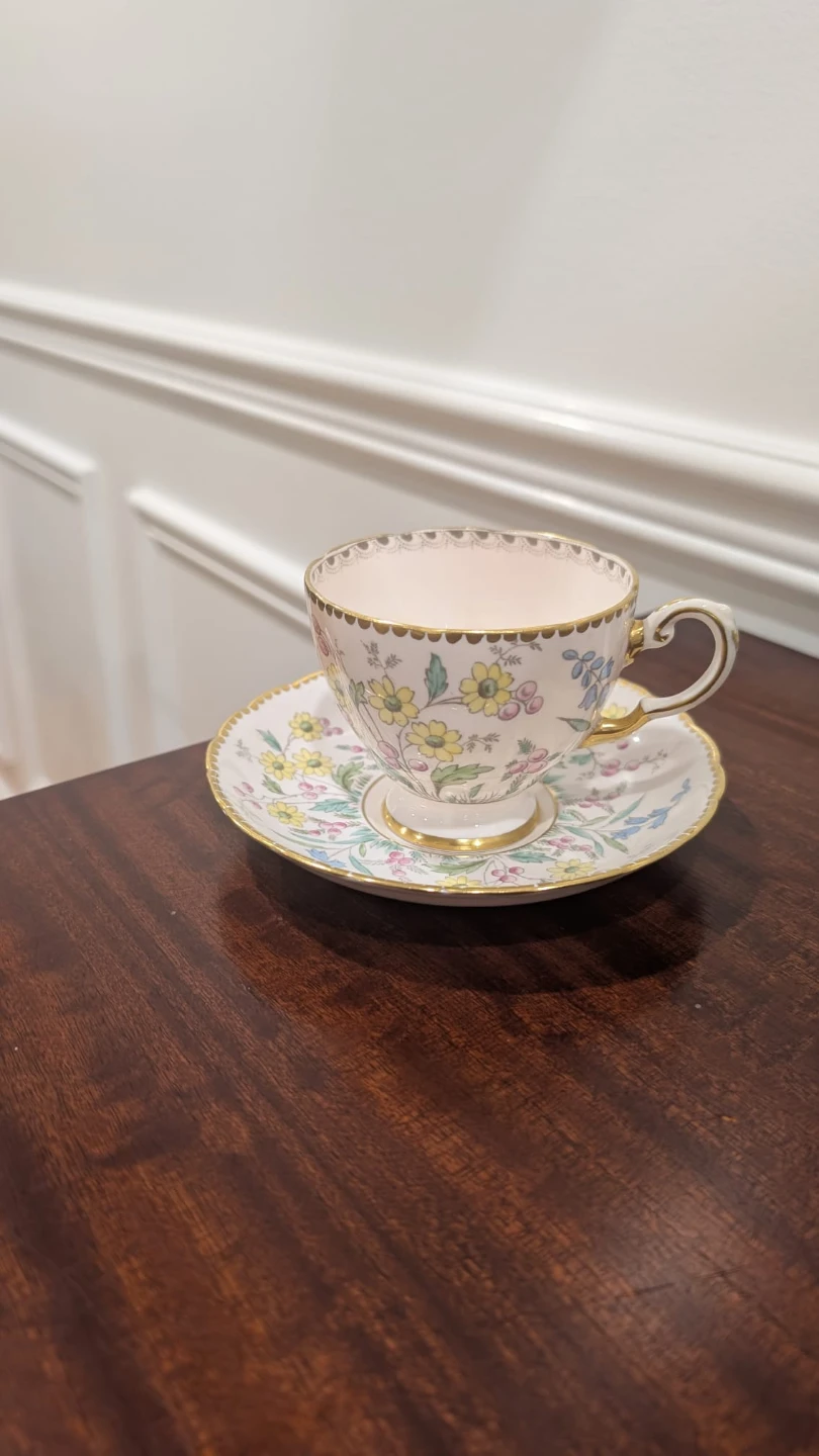 Tuscan Fine Bone China Teacup and Saucer Set