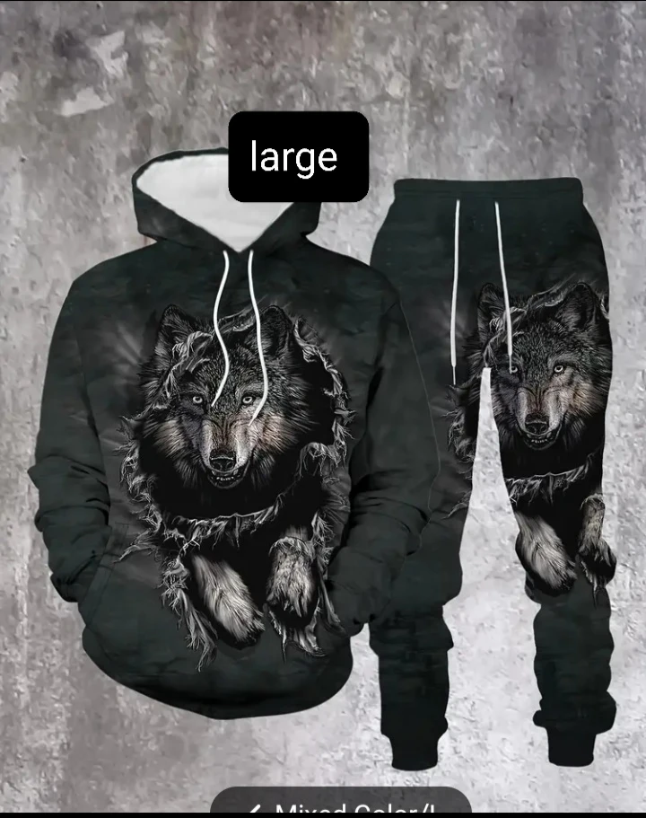 Lightweight Hoodie and Pants Sets - Size Large 🏆 - photo 2