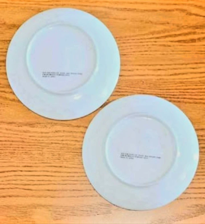 Pair of Currier and Ives American Homestead Porcelain Plates - photo 4