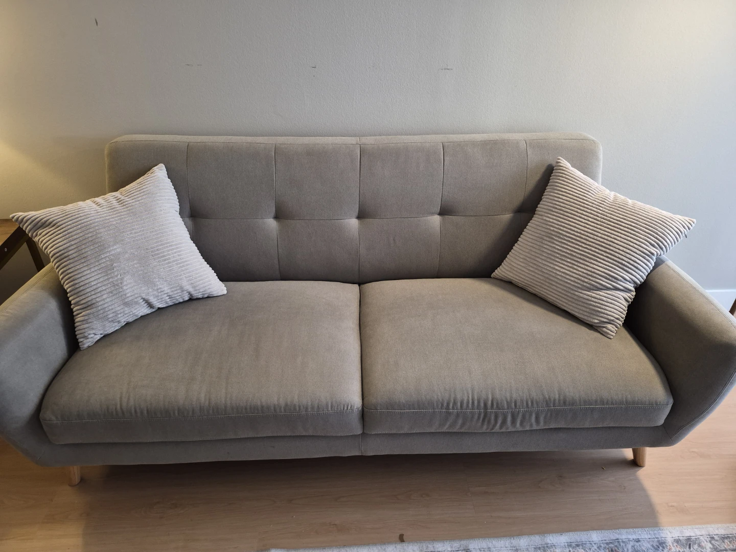 Grey Sofa with Two Pillows