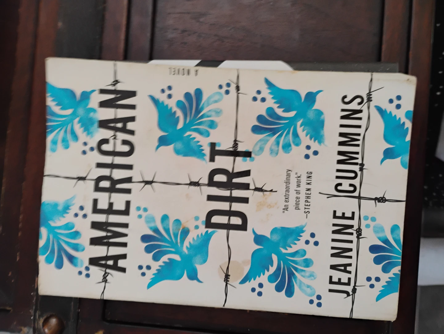 American Dirt by Jeanine Cummins Novel
