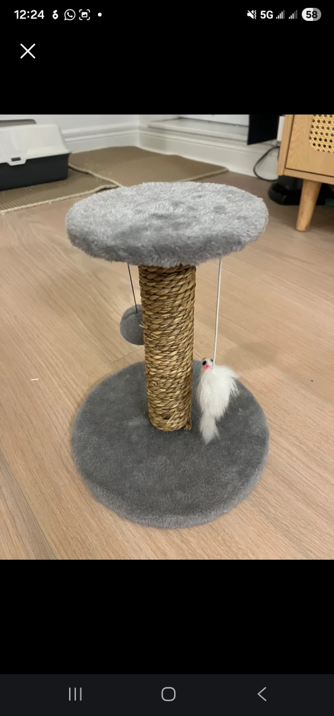 Cat Scratching Post with Toy