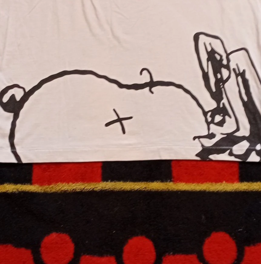 Kaws X Peanuts shirt (M) - photo 3