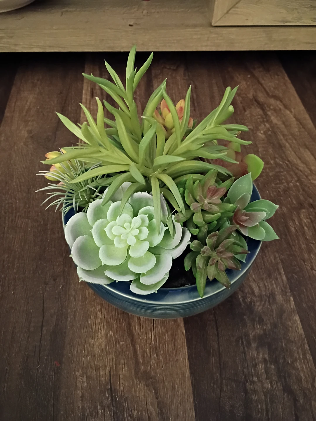 Kirkland's 7.5in Green Mix Succulent