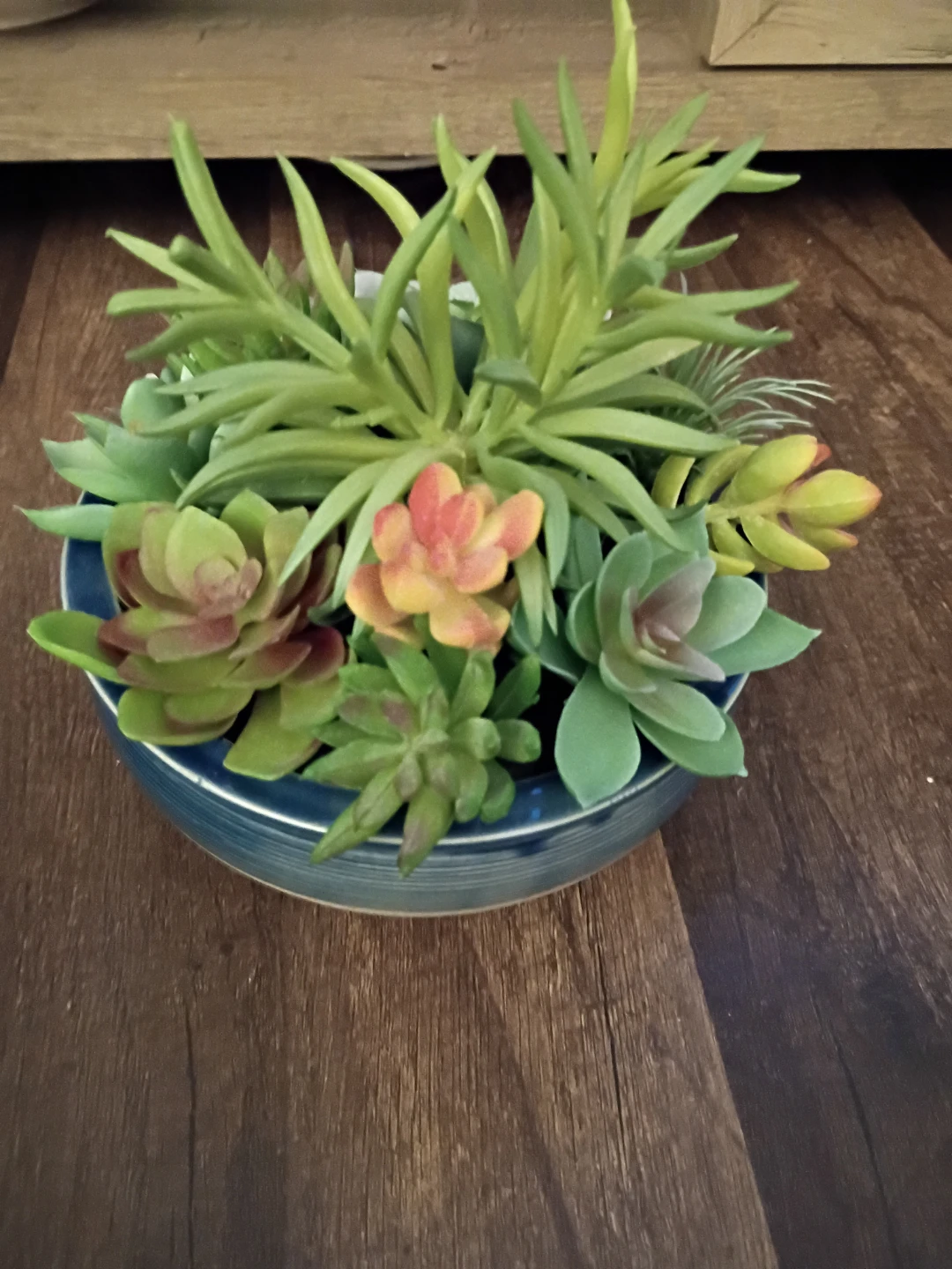 Kirkland's 7.5in Green Mix Succulent - photo 2