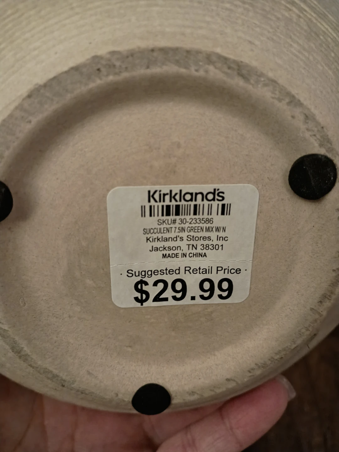 Kirkland's 7.5in Green Mix Succulent - photo 3