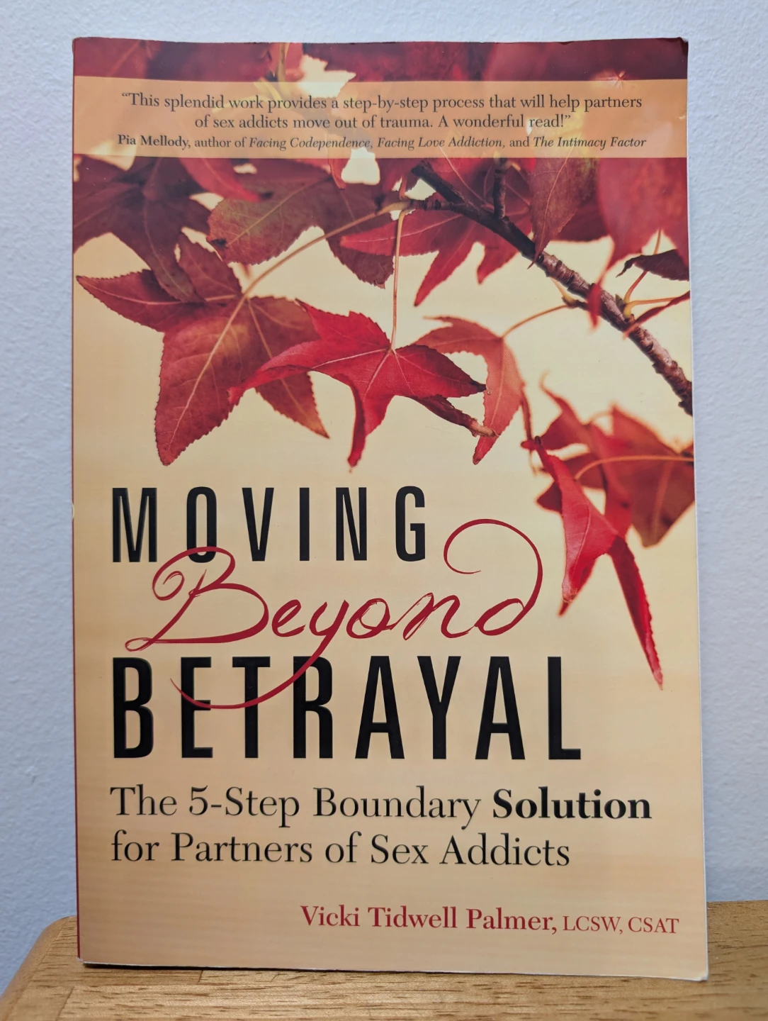 Moving Beyond Betrayal by Vicki Tidwell Palmer