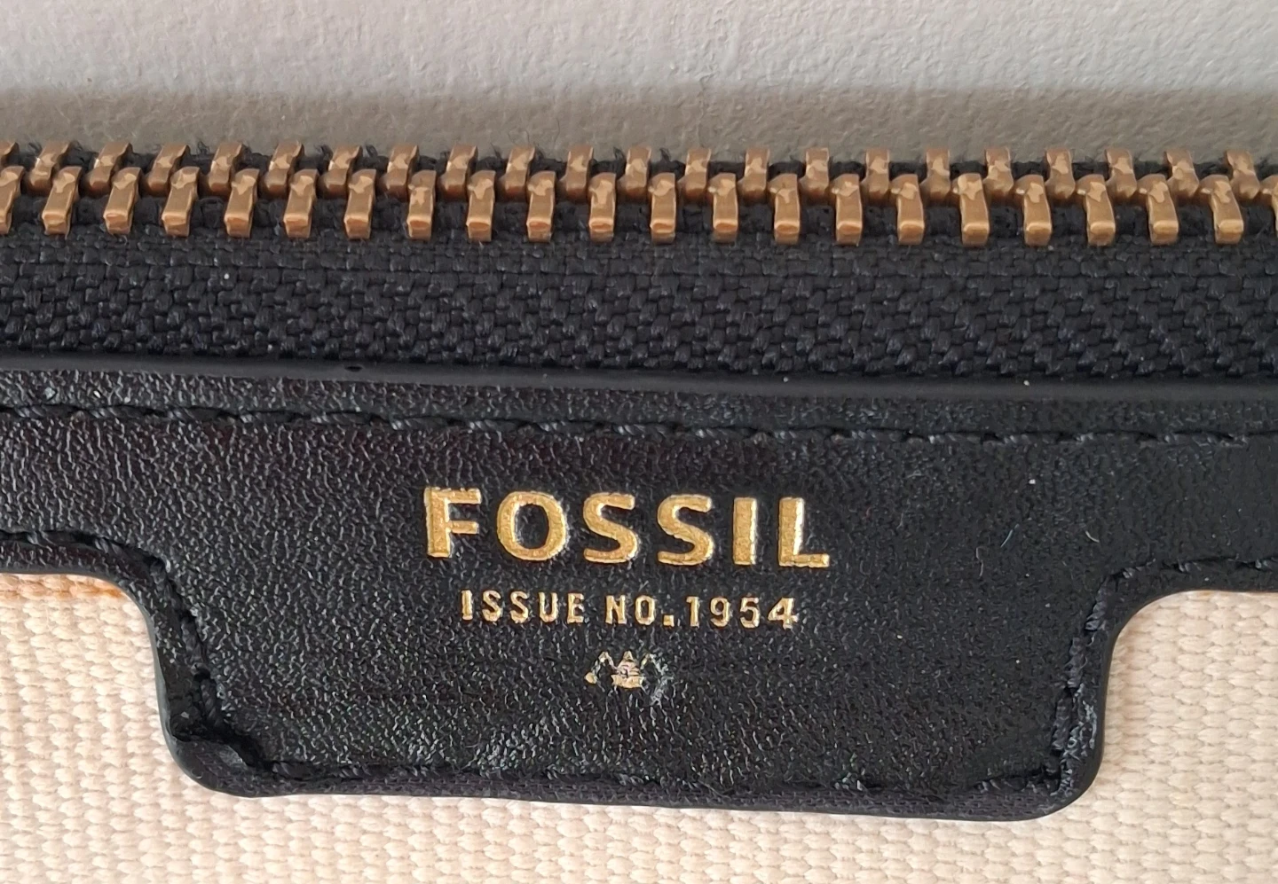 Fossil Striped Canvas Crossbody Bag
