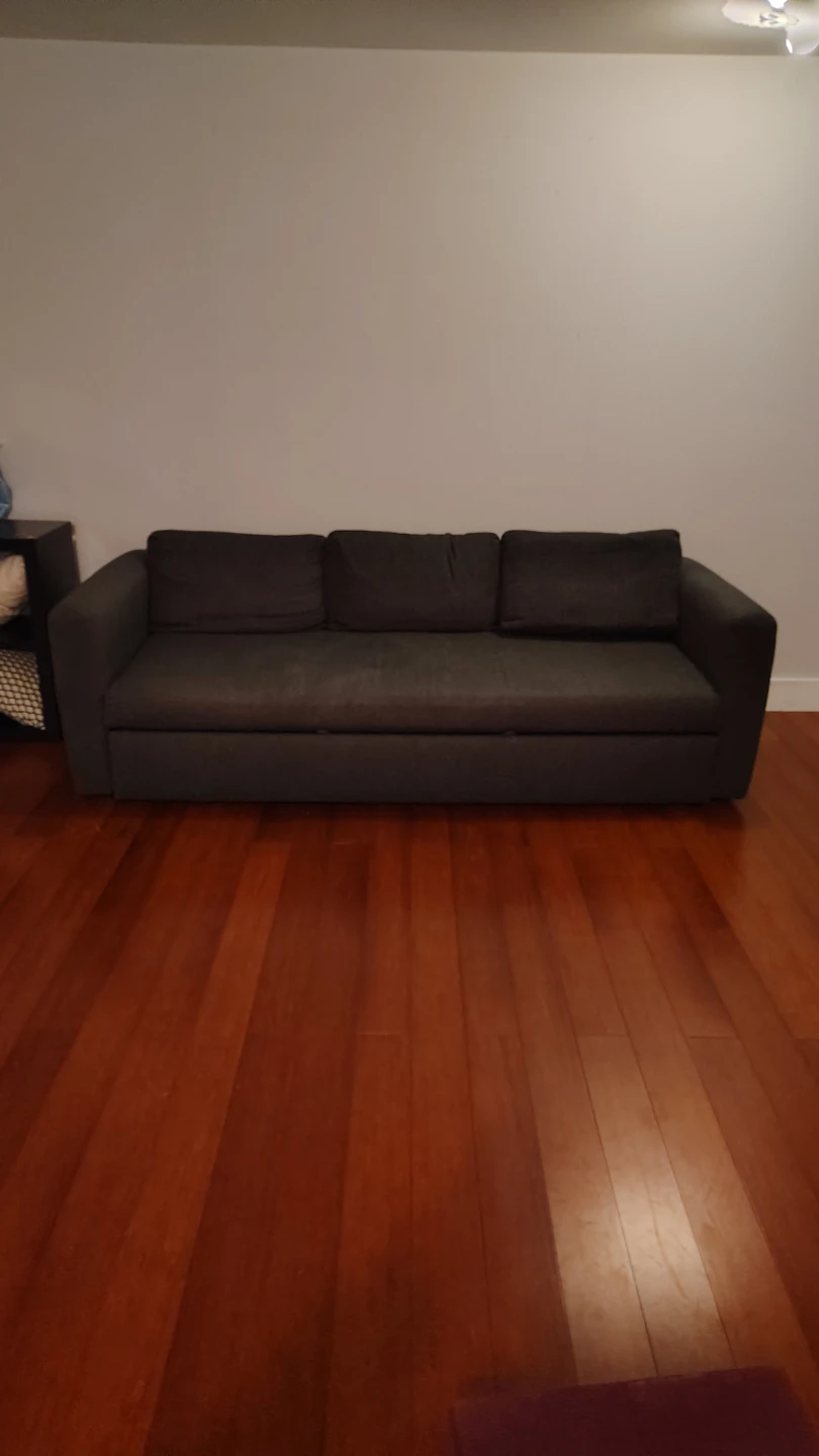 Room and Board Dark Gray Sofa Bed