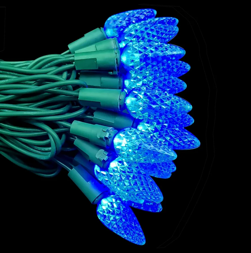 Blue  Christmas Lights 15ft long