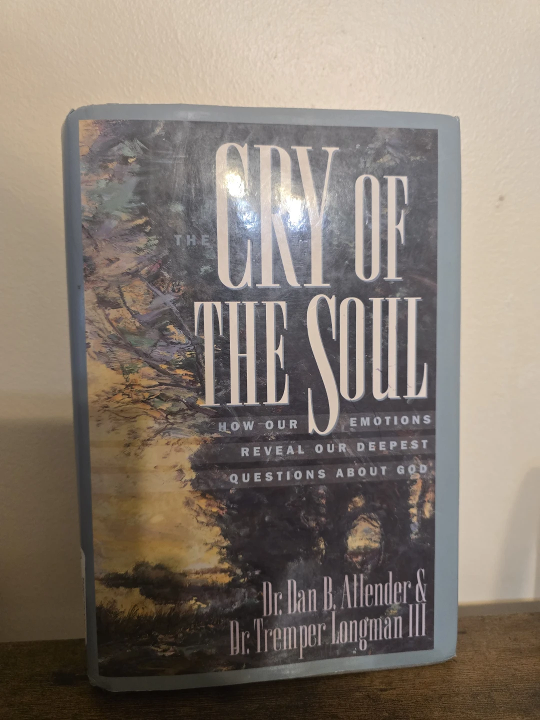 The Cry of the Soul by Dr. Dan B. Allender - photo 2