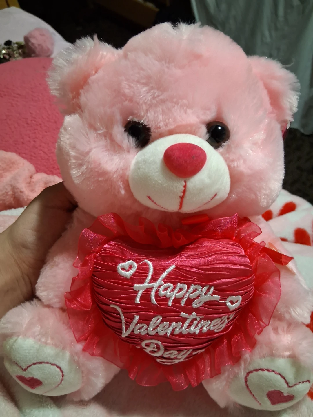 Pink Valentine's Day Teddy Bear 🥕