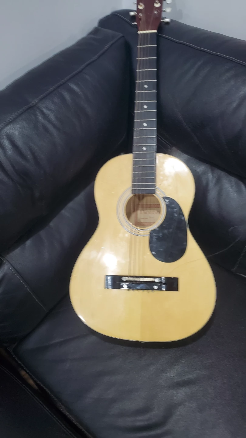 Denver Acoustic Guitar 🥕