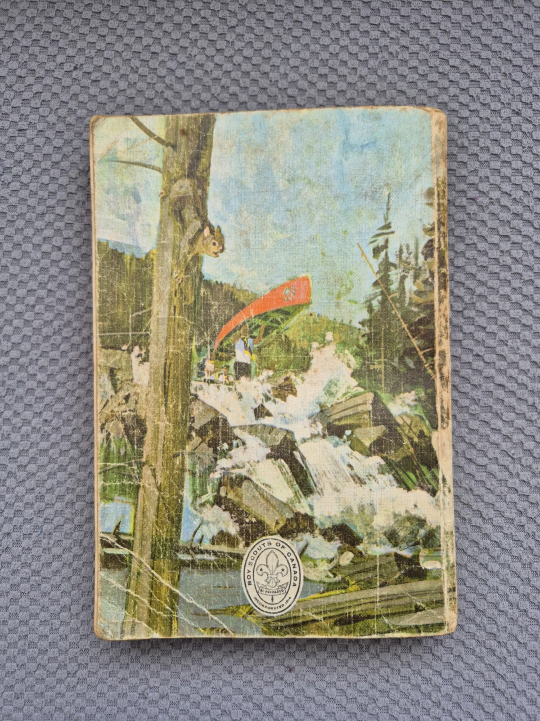 Vintage Canadian Scout Handbook - photo 4