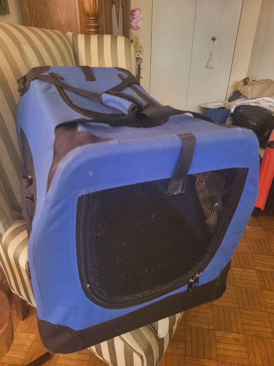 Blue Pet Carrier - large - photo 2
