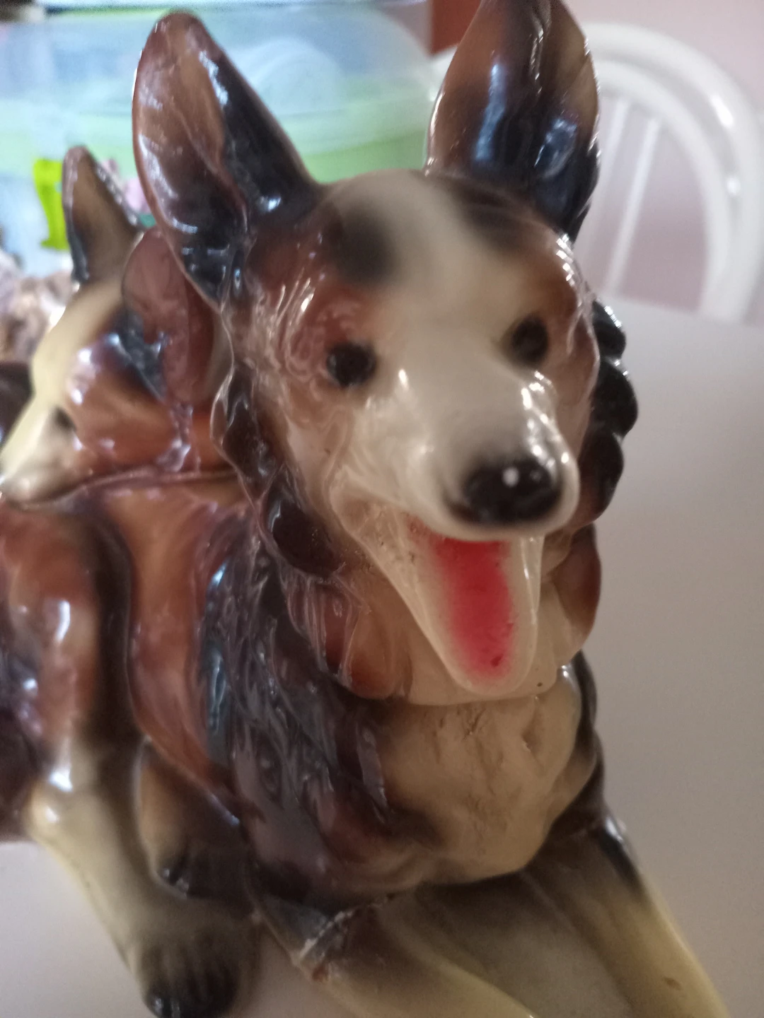 Collie Dogs - photo 3