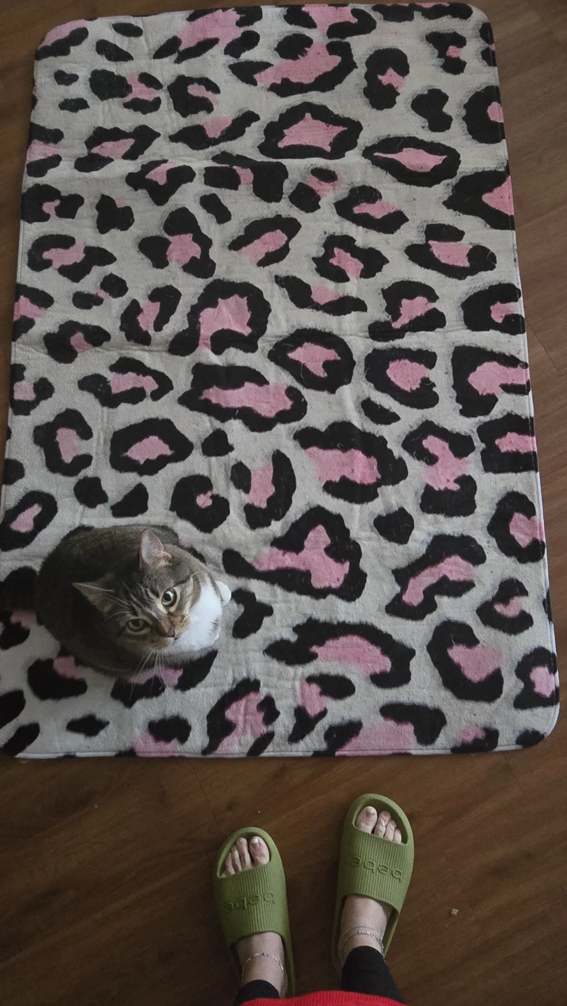 Leopard Print Rug - photo 3