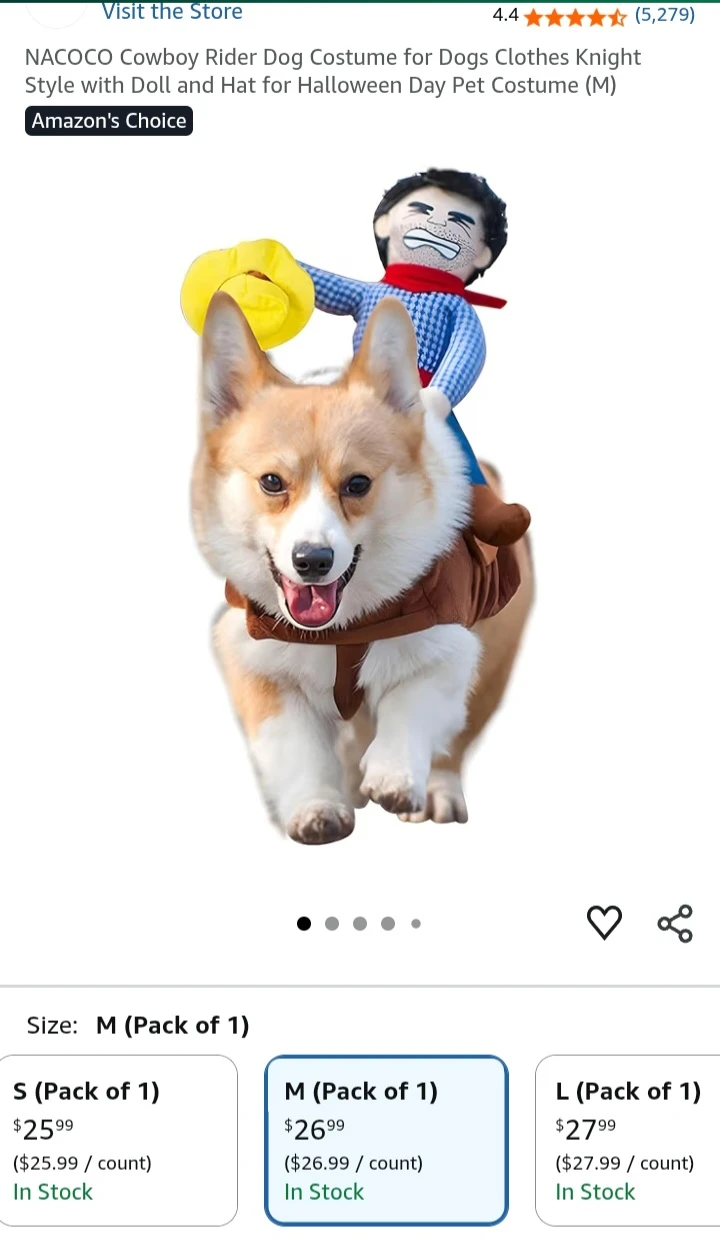 🥕  NEW!   NACOCO Cowboy Rider Dog Costume - Size M - photo 2