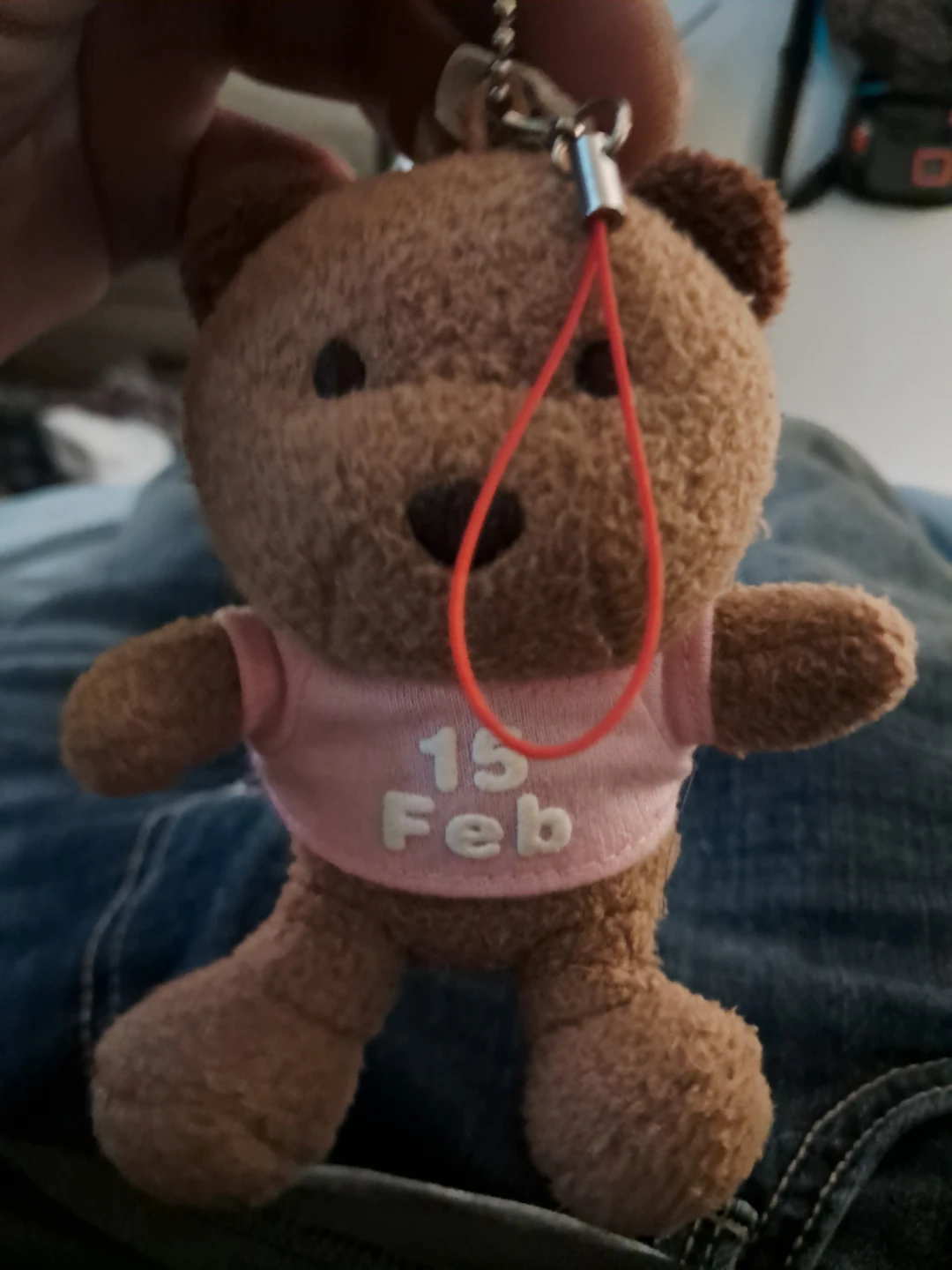 Brown Teddy Bear Keychain with Pink Shirt