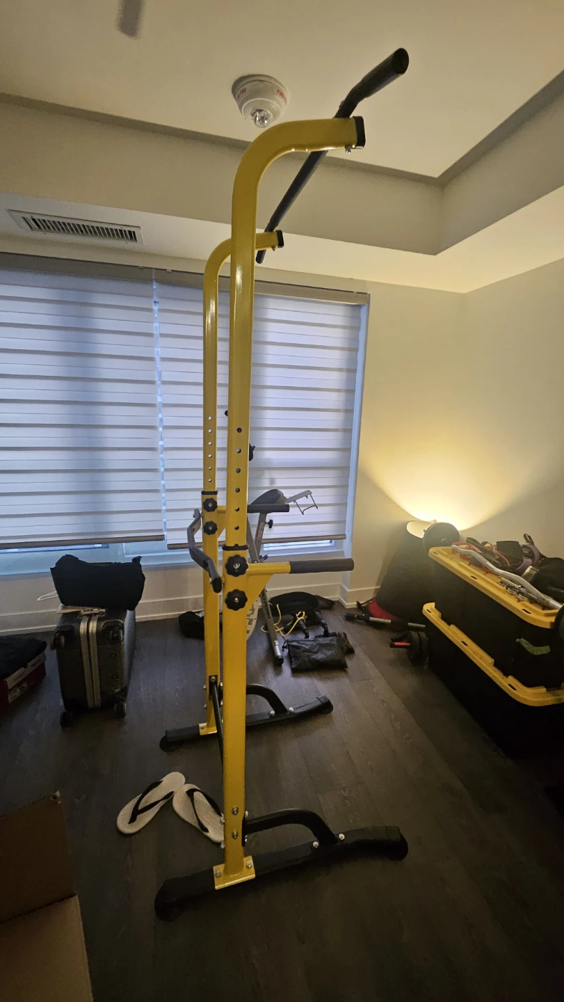 DlandHome Pull Up Bar Dip Station