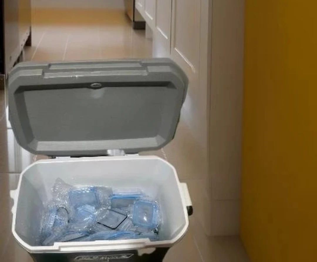 🥕Coleman 316 Series 52 QT Cooler🥕🥕 - photo 2