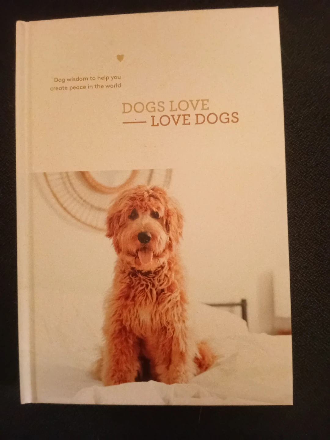 Dogs Love Love Dogs Hardback Book