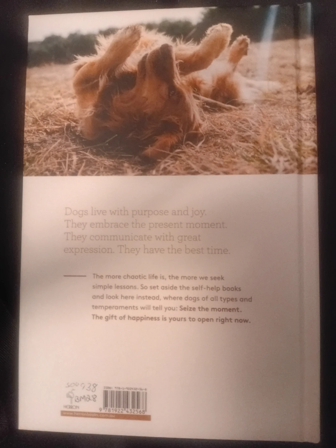 Dogs Love Love Dogs Hardback Book - photo 2