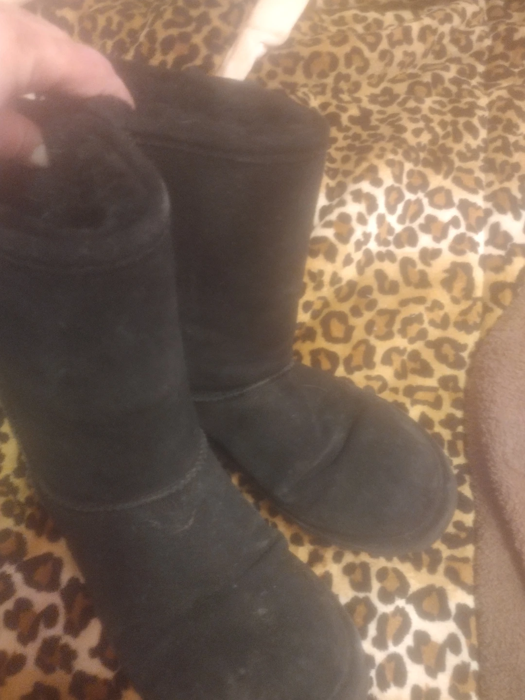 Bearpaw Black Suede Boots