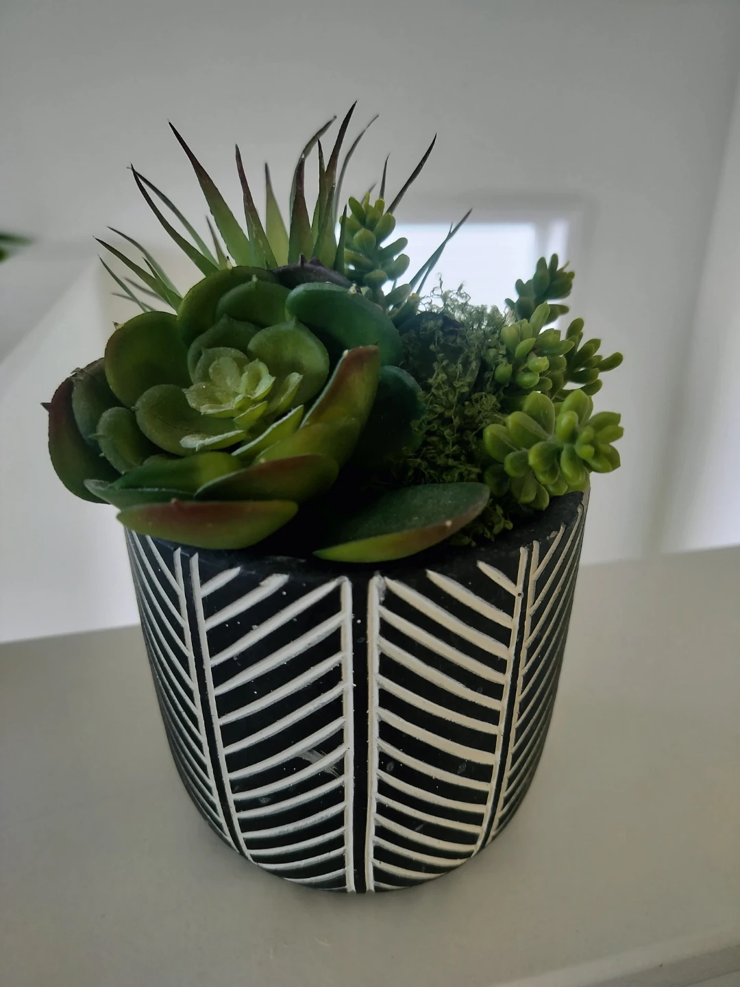 Artificial Succulent Arrangement in Black and White Pot