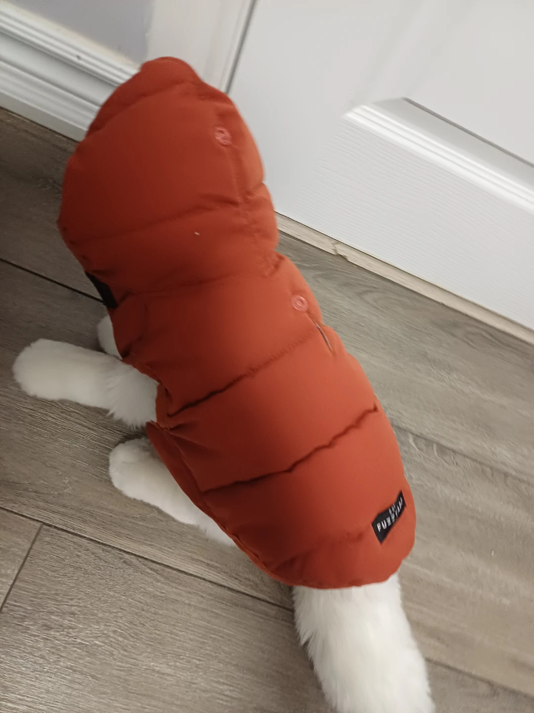 Fuzzyard Puffer Dog Jacket - Orange - photo 2