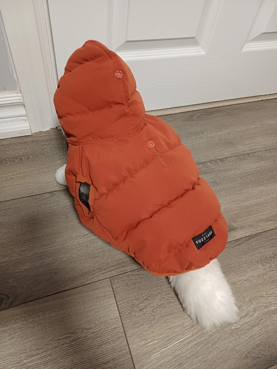 Fuzzyard Puffer Dog Jacket - Orange - photo 4