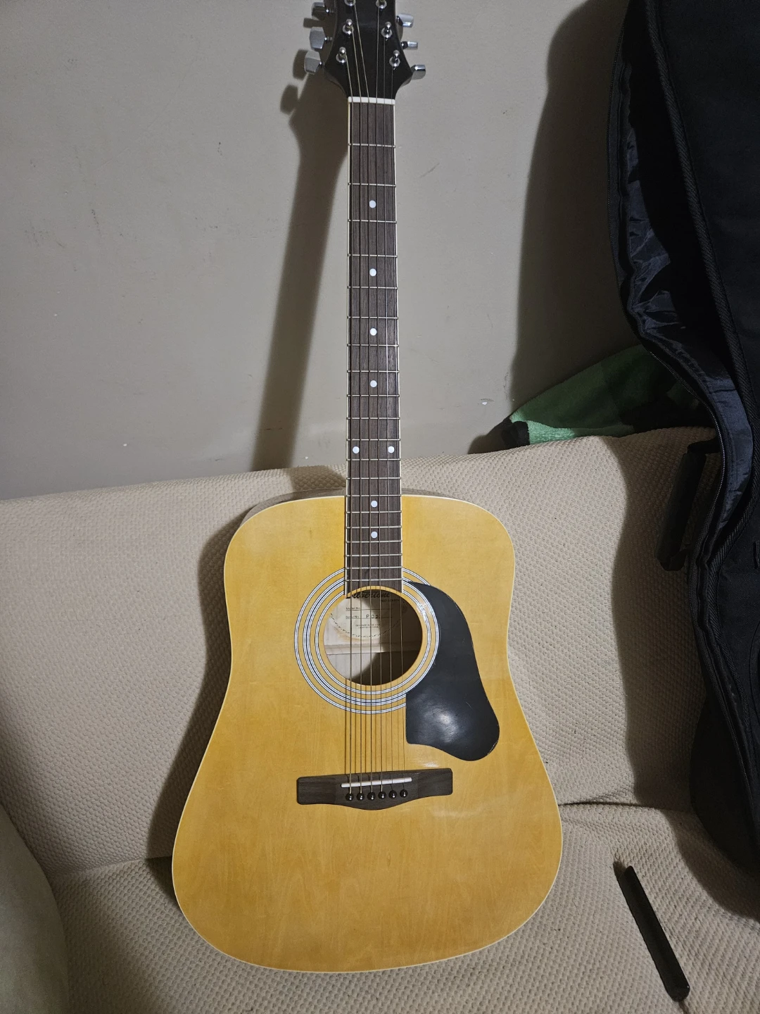 Road Runner Acoustic Guitar with Gig Bag