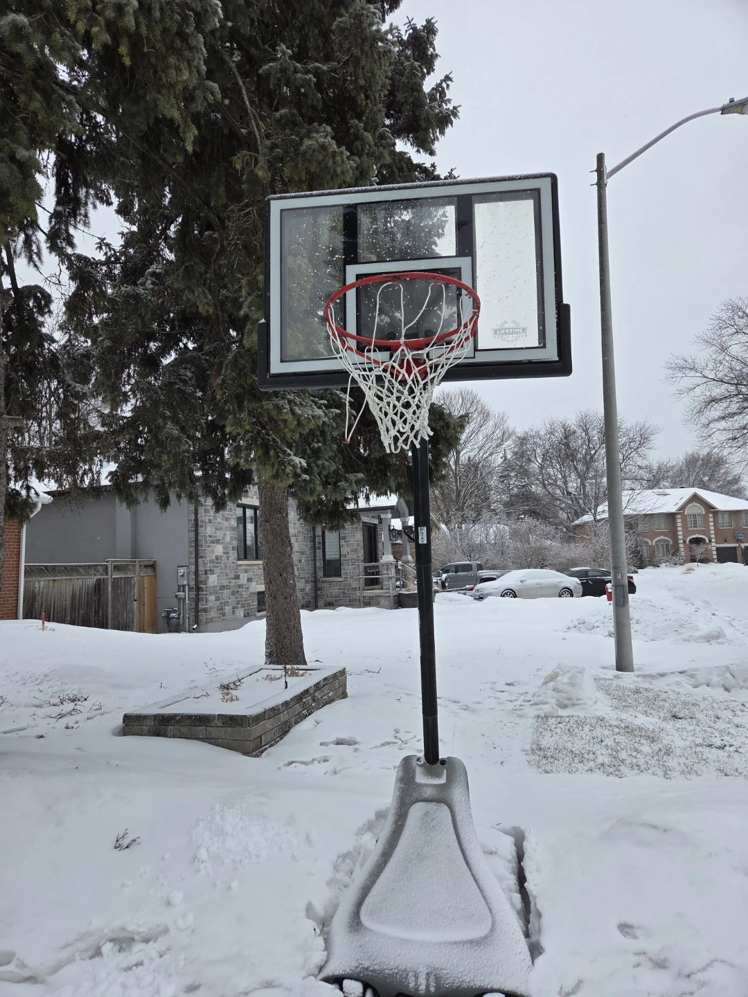 Lifetime Basketball Hoop and Backboard