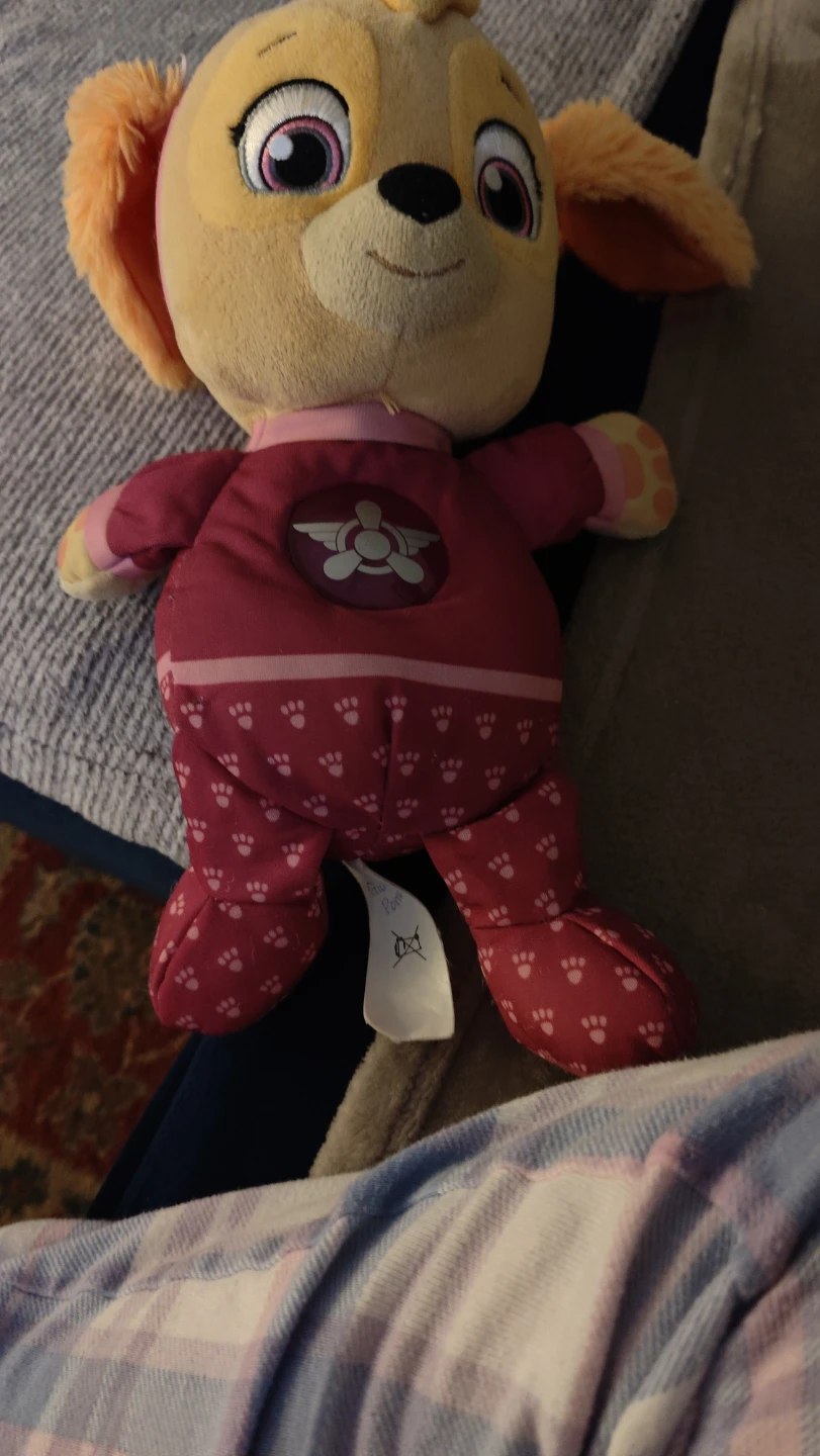 Paw Patrol Skye Plush Toy with Light-Up Emblem