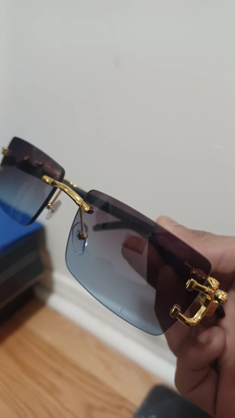 Rimless Sunglasses with Gold Dragon Accents