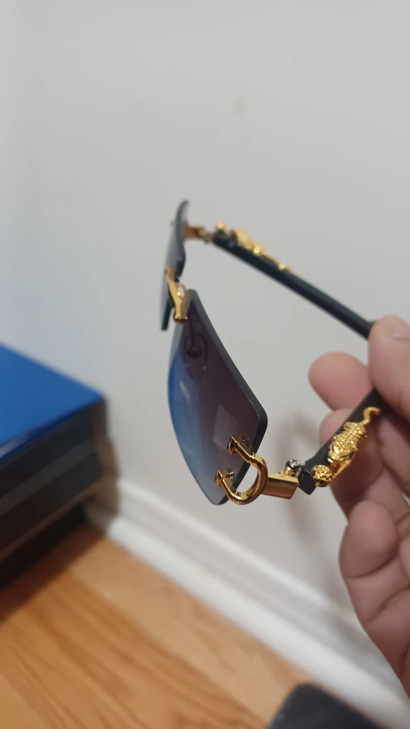 Rimless Sunglasses with Gold Dragon Accents - photo 2