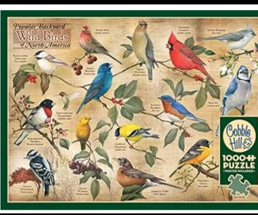 POPULAR BACKYARD BIRDS OF NORTH AMERICA PUZZLE 🏆