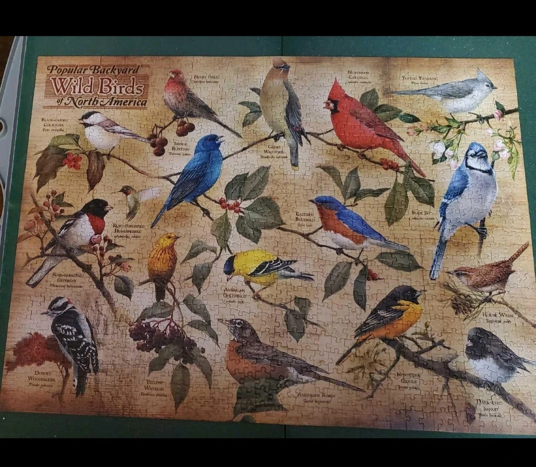 POPULAR BACKYARD BIRDS OF NORTH AMERICA PUZZLE 🏆 - photo 2