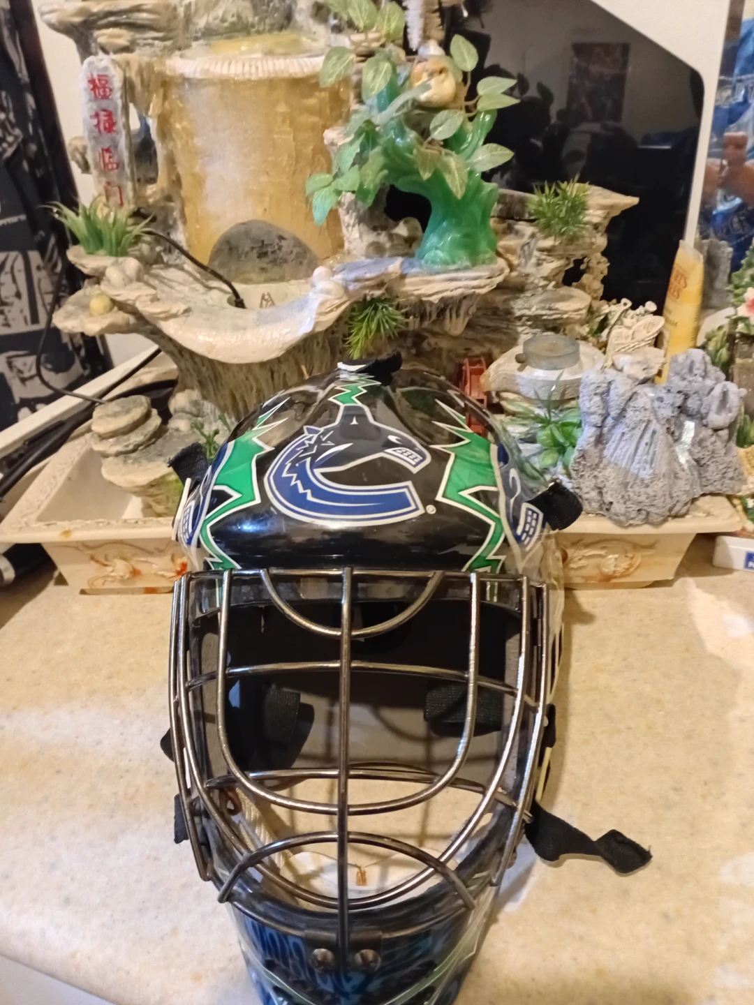 Franklin Vancouver Canucks Goalie Mask