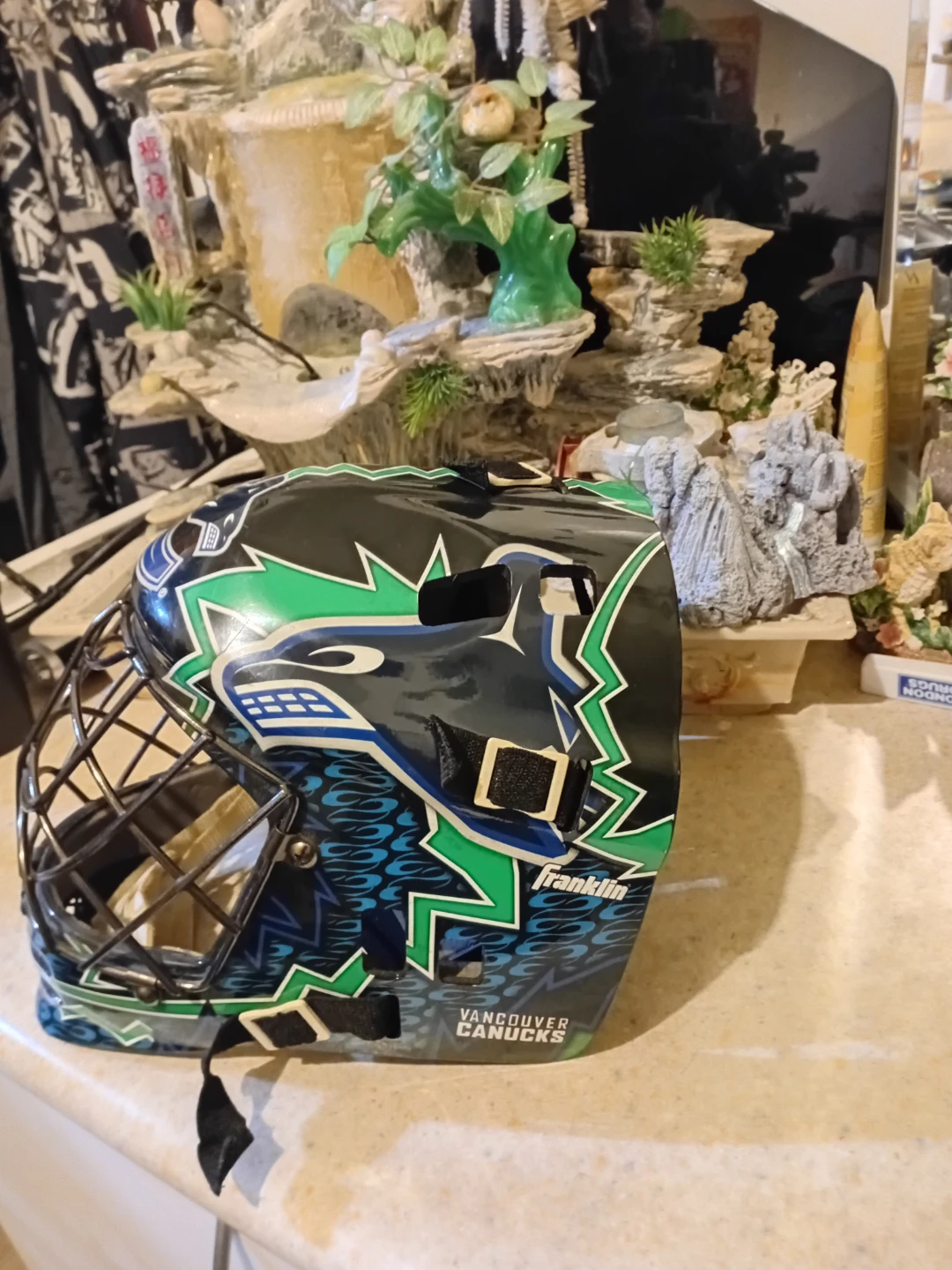 Franklin Vancouver Canucks Goalie Mask - photo 2