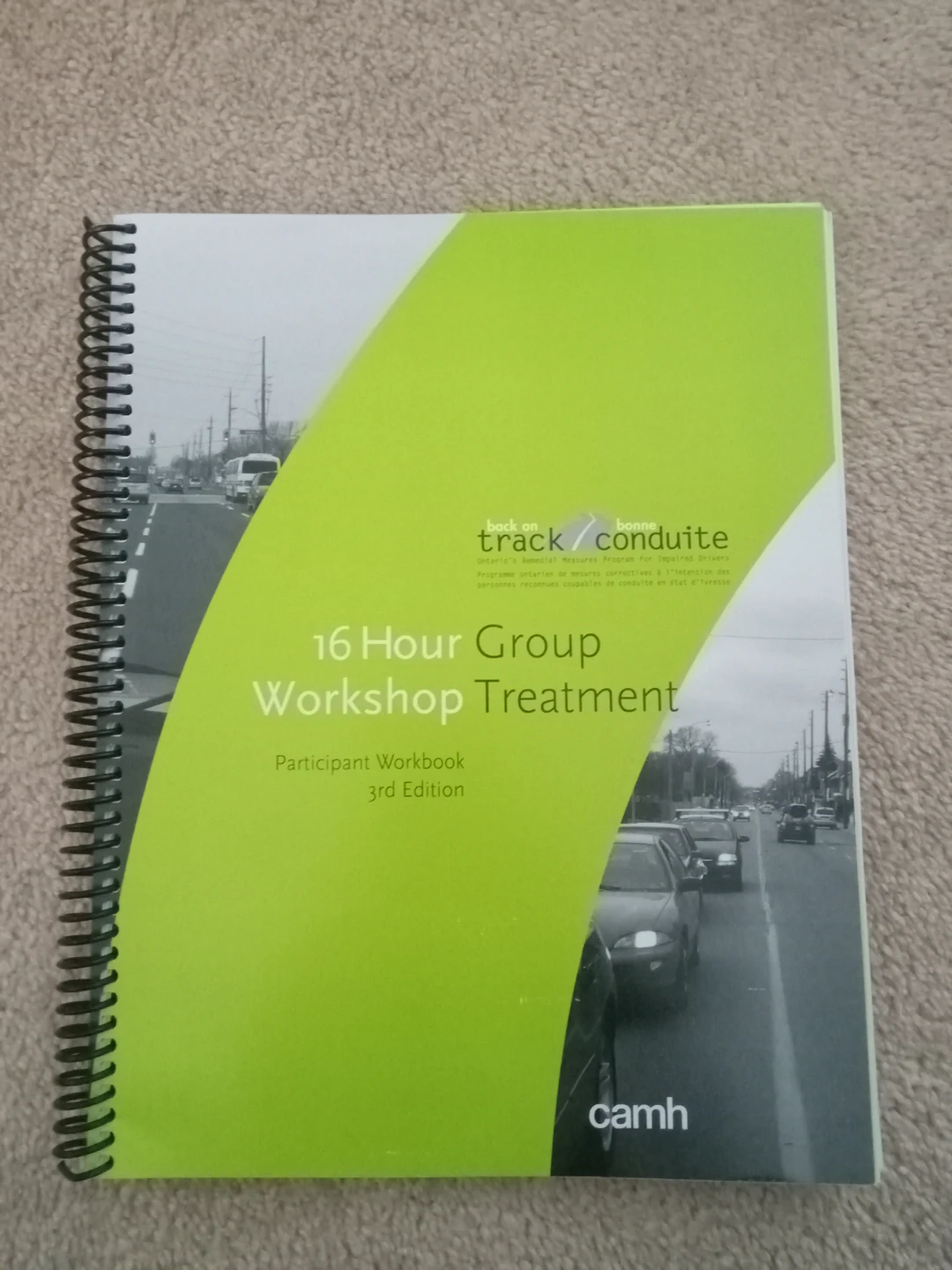 Back on Track DUI Workbook