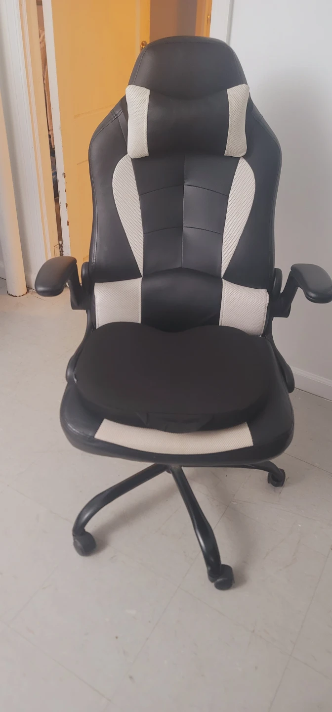 Gaming Chair with Lumbar and Headrest Pillows