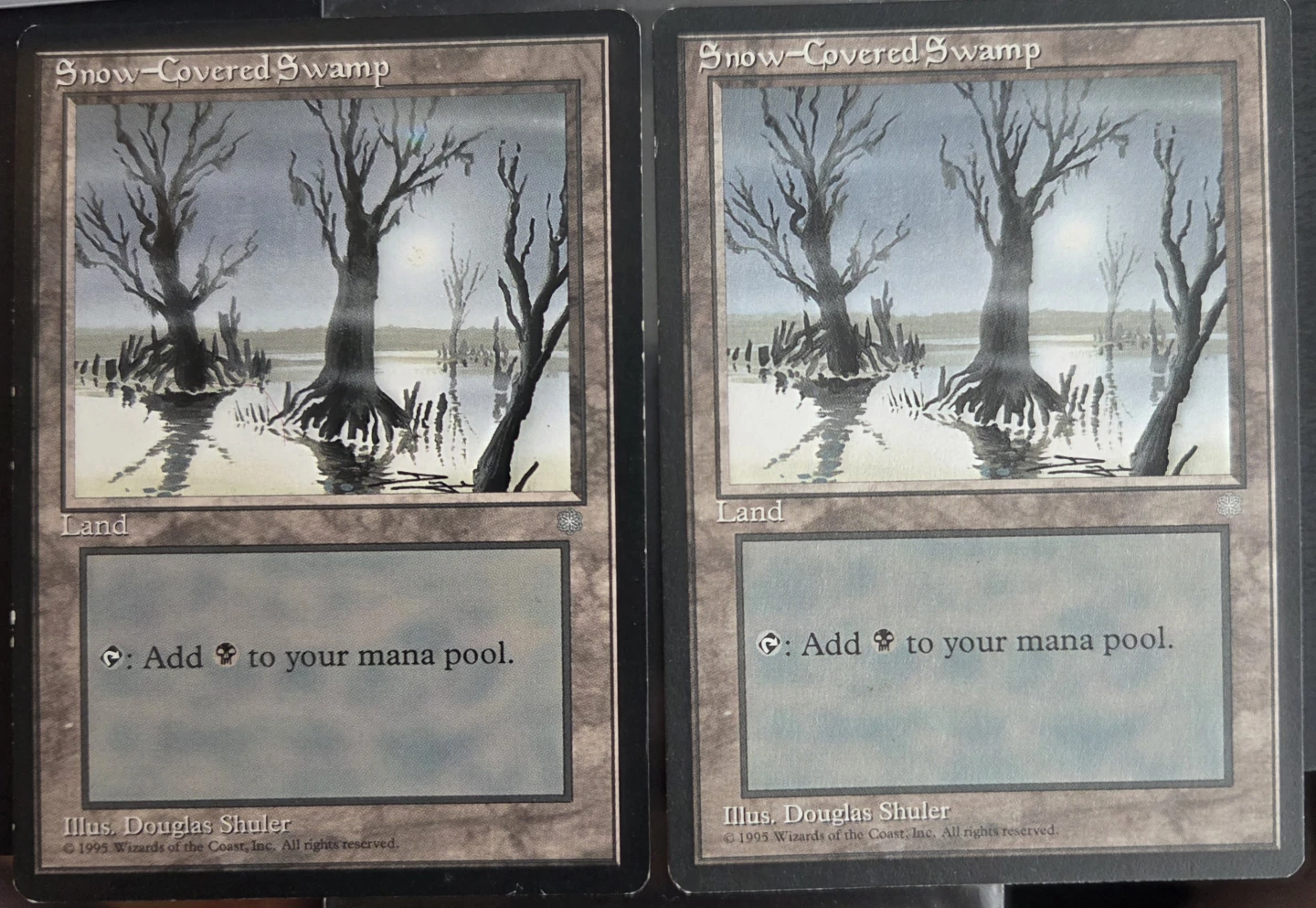 Snow-Covered Swamp Card x2 Magic the Gathering Cards