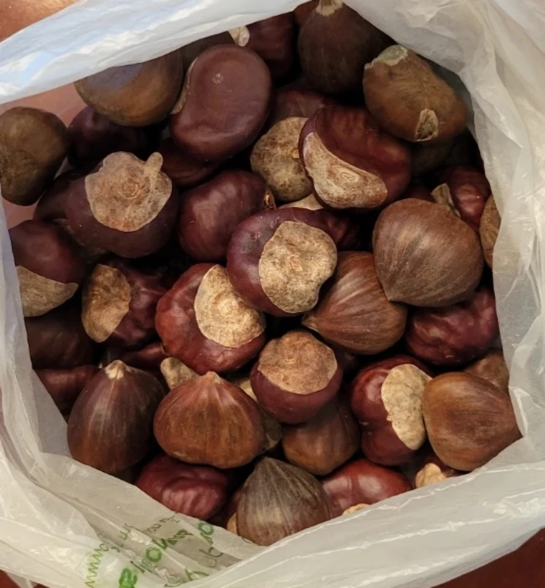 Bag of Chestnuts (just over 500 g)