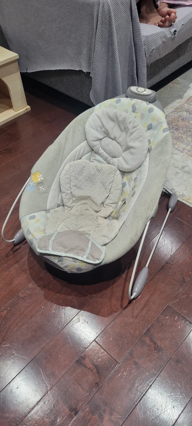 Fisher-Price Infant-to-Toddler Rocker
